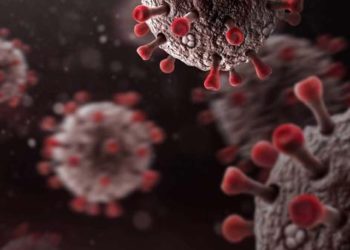 Les analyses des urgences médicales sont positives à 60% pour le Corona !