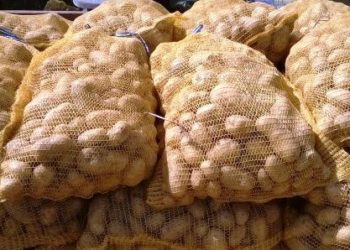 Enquête du ministère de commerce sur des légumes venant d’Egypte