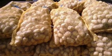 Enquête du ministère de commerce sur des légumes venant d’Egypte