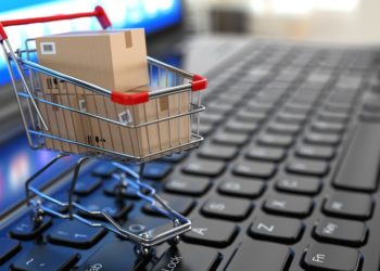 Indice de commerce électronique B2C en 2020