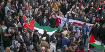 Plusieurs manifestations populaires de soutien à la cause palestinienne