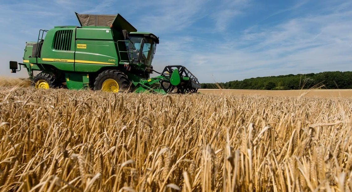 Jendouba : une augmentation de la récolte céréalière de 40%