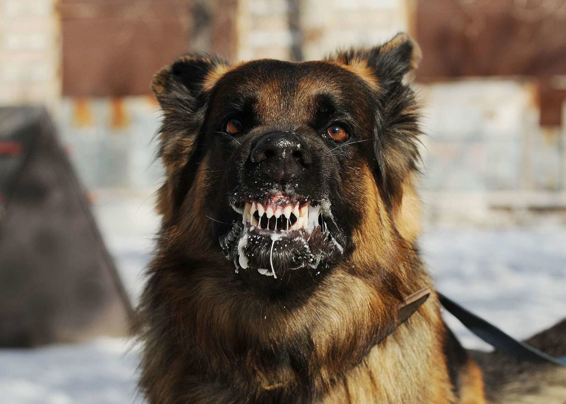 Rage en Tunisie: une situation alarmante