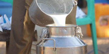 Arrêt de la collecte de lait jusqu’à nouvel ordre