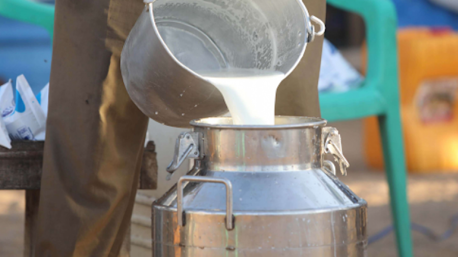 Arrêt de la collecte de lait jusqu’à nouvel ordre