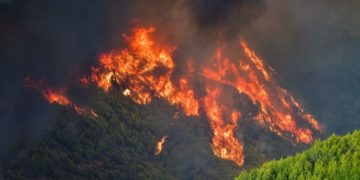 Dans le monde ces dernières heures