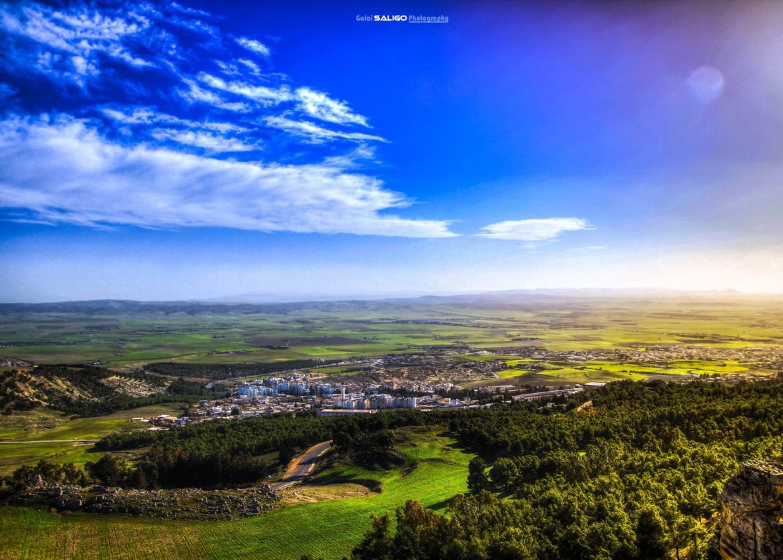 Pour conserver sa diversité biologique d’ici 2030, la Tunisie devrait mobiliser un financement de 1150 MDT