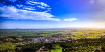 Pour conserver sa diversité biologique d’ici 2030, la Tunisie devrait mobiliser un financement de 1150 MDT