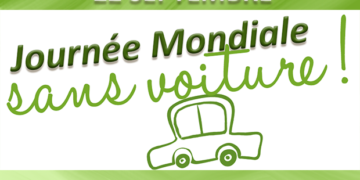 Journée mondiale sans voiture: Le ministère du transport appelle à prendre les transports en commun