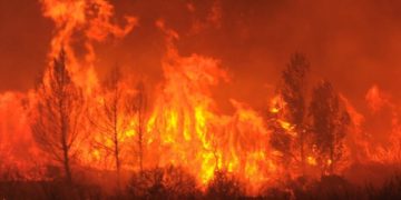 Dans le monde ces dernières heures