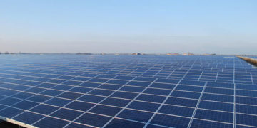 Une future station solaire Agil à Thala