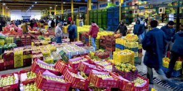 ONAGRI: hausse de 12% de l’approvisionnement du marché de gros en légumes
