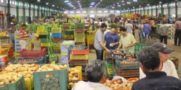 Bir el-Kassaâ: nette augmentation des prix des fruits et légumes