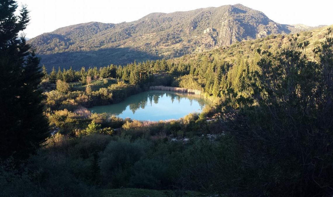 Hausse exceptionnelle du tourisme à Ain Drahem