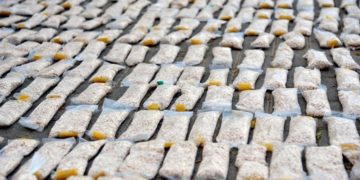 Au Liban une saisie de 4 millions de pilules de captagon à destination de Riyad