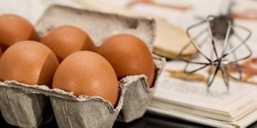 Ministère de l&rsquo;Agriculture:  le niveau de production mensuelle des œufs est à 100% de sa capacité