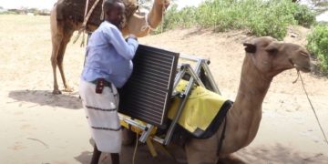 Ethiopie:  des « chameaux solaires » pour recharger les bibliothèques numériques et faire le tour des villages