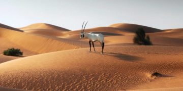 Climat: Voici les régions inhabitables dans le monde en 2050 d&rsquo;après la NASA