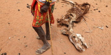 Sécheresse: 20 millions de personnes menacées de famine dans la Corne de l&rsquo;Afrique