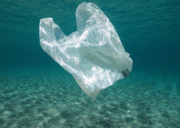 Djerba: interdiction des sachets plastiques à usage unique à partir du 1er août