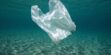 Djerba: interdiction des sachets plastiques à usage unique à partir du 1er août