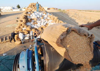 Maroc: la Russie poursuivra ses livraisons de blé