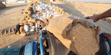 Maroc: la Russie poursuivra ses livraisons de blé