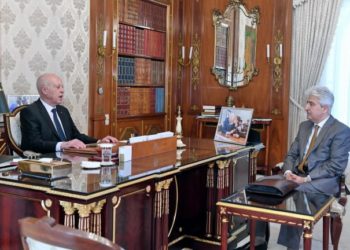 Kais Saied reçoit Mémiche et fait l&rsquo;éloge de l&rsquo;armée