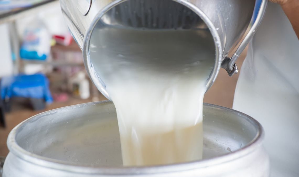Mahdia: appel à ne pas acheter le lait frais du producteur au consommateur