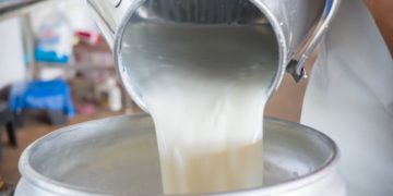 Mahdia: appel à ne pas acheter le lait frais du producteur au consommateur