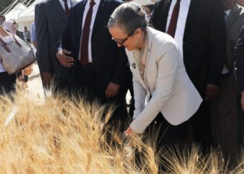 Siliana: Najla Bouden donne le coup d’envoi de la saison de moisson