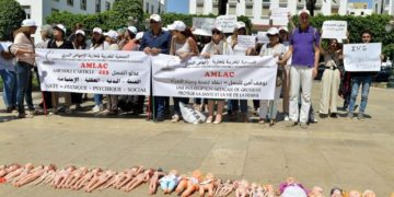 Pour protéger l’ « intégrité physique » de la femme, une loi autorisant l’avortement en discussion au Parlement marocain