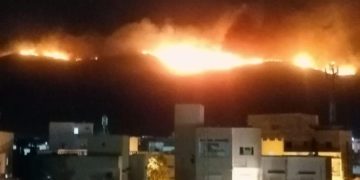 Incendie Boukarnine: L&rsquo;Algérie à la rescousse de la Tunisie