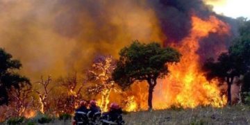 Montagne de Serj: la protection civile toujours aux prises avec les flammes
