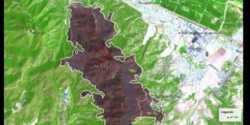 Incendie Boukarnine: pin d’Alep, arbres résineux et Juniperus partent en fumée