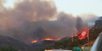 Incendies: ce que ça nous dit du tunisien