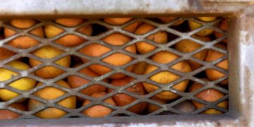 Des tonnes d&rsquo;agrumes pourrissent dans les ports européens en raison d&rsquo;un litige entre l&rsquo;Afrique du Sud et l&rsquo;UE