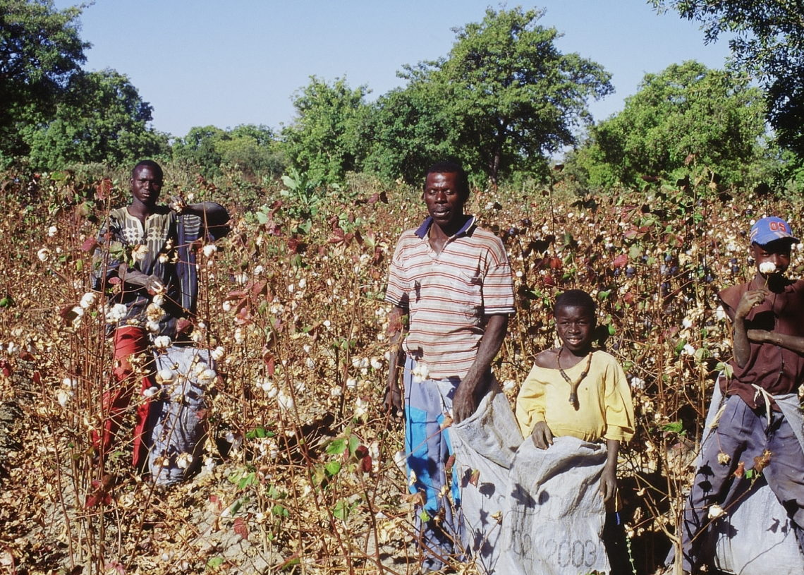 Etats-Unis: Une mère porte plainte contre l&rsquo;école de sa fille pour avoir reproduit un champ de coton esclavagiste