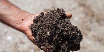 Gabès: création d’une commission chargée de l’environnement