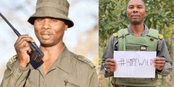 Braconnage: une légende de la protection animale assassiné en Afrique du Sud