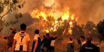 Incendies en Algérie: un bilan lourd de 38 morts, des centaines de blessés… à qui la faute?