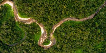 RD Congo : opposée à la vente de blocs pétroliers,  Greenpeace Afrique se dit menacée