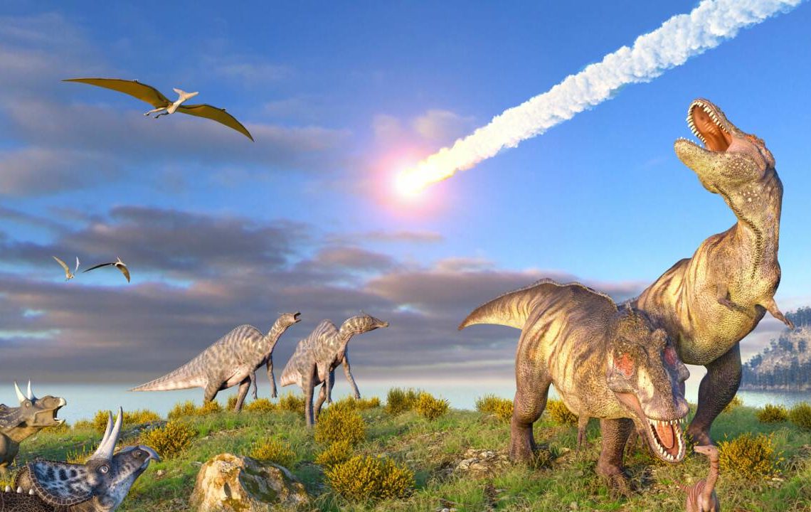 Les cafards auraient survécu à l’astéroïde qui a tué les dinosaures: on vous explique comment