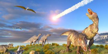 Les cafards auraient survécu à l’astéroïde qui a tué les dinosaures: on vous explique comment