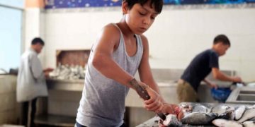Tripoli au Liban: la hausse de la pauvreté remet les enfants au travail
