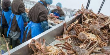 Etats-Unis: l&rsquo;Alaska annule la saison de pêche au crabe des neiges