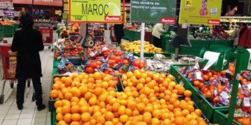 Sécheresse au Maroc: « exporter des fruits et des légumes, c&rsquo;est vendre l&rsquo;eau que nous n&rsquo;avons pas »