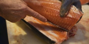 Bénéfices: la Norvège souhaite taxer à hauteur de 40% les producteurs de saumons