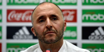 CM 2022: le sélectionneur algérien, Djamel Belmadi, soutient la Tunisie et le Maroc
