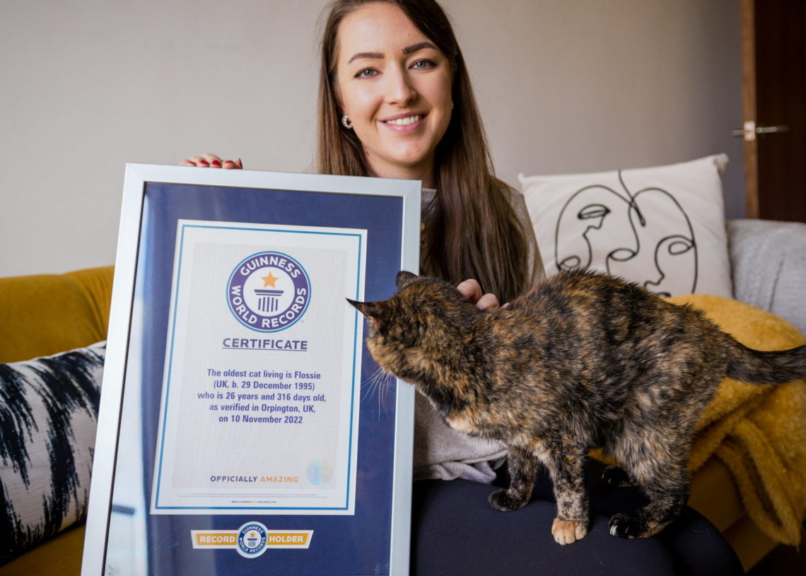 Record: Flossie, 26 ans, le chat le plus vieux au monde